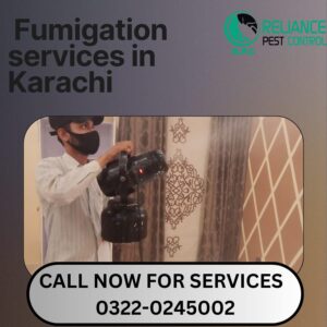 Fumigation services in Karachi, fumigation in Karachi, best fumigation services, Karachi fumigation, fumigation services, get fumigation services 03220245002