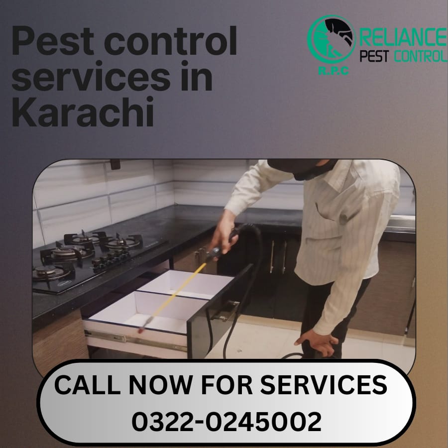 Pest control services in Karachi, best pest control services, how to rid pest issues, Karachi pest control, pest control near me, pesticide