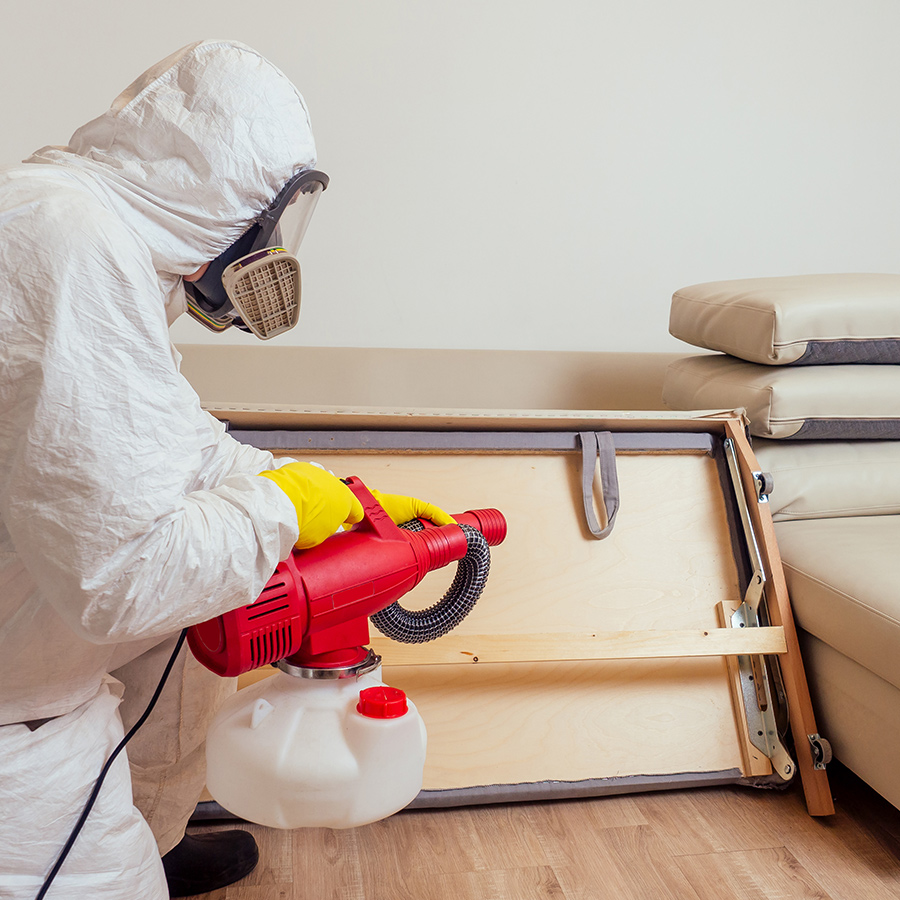 Fumigation services, fumigation services in Karachi, fumigation in Karachi, fumigation, best fumigation company, fumigation management services