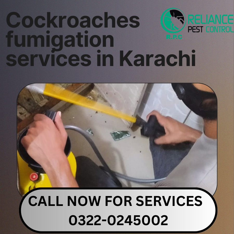 cockroaches Fumigation services in karachi, Roaches Treatment, cockroaches Spray tretment, how to rid roches in kitchen