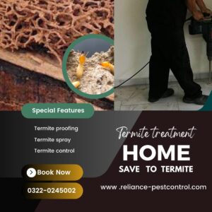 Termite Proofing Treatment