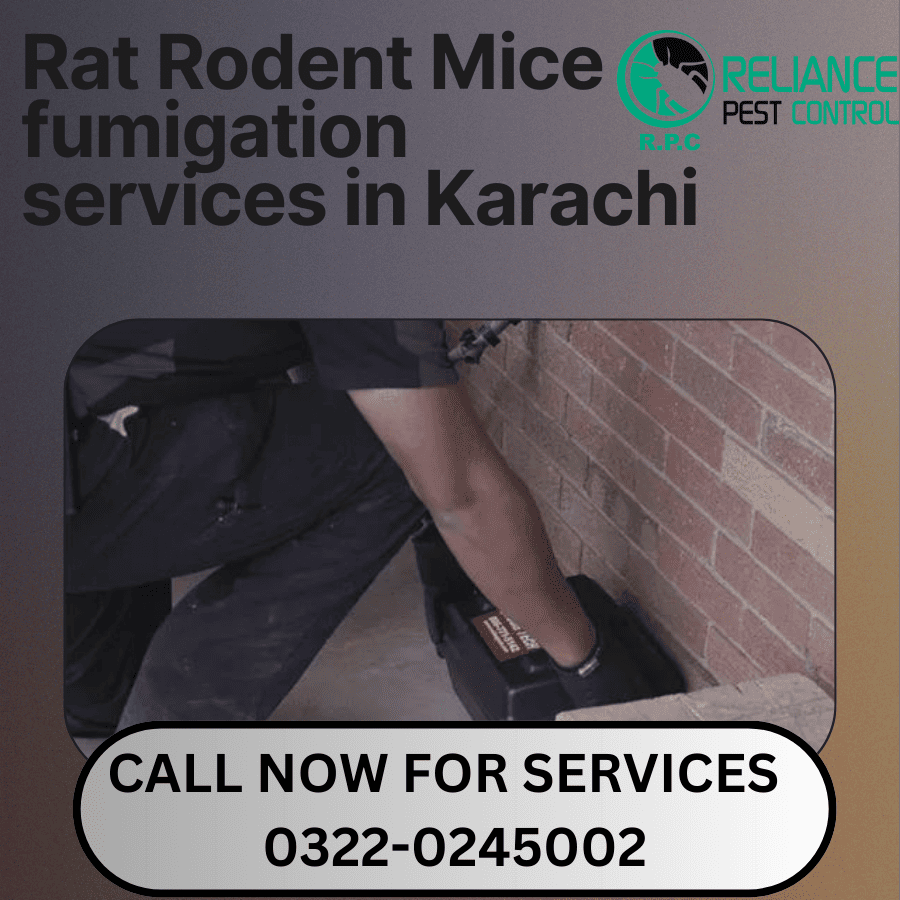 Rat fumigation services, mice fumigation, rodent fumigation, best fumigation services, rat and Rodent treatment, rat Removal treatment, how to control rat